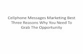 Cellphone Messages Marketing Best Three Reasons Why You Need To Grab The Opportunityeasons why you