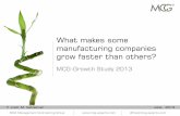 MCG Growth Study 2013 - What makes some manufacturing companies grow faster than others?