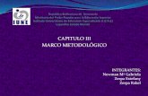 Capitulo iii marco metodologico
