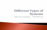 Types of System- SYANDES Q#3