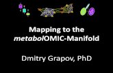 Mapping to the Metabolomic Manifold