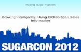 Flexing Sugar Platform: Session 2: Growing Intelligently/Using CRM to Scale Sales Information