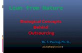 Biological concepts behind outsourcing