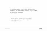 Variant calling and how to prioritize somatic mutations and inheritated variants in NGS data: an advanced overview