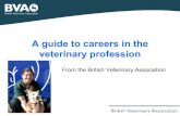 A career in the veterinary profession