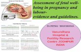 Assessment of fetal wellbeing in pregnancy and labour