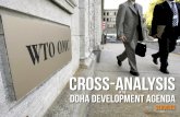 Cross analysis of the Doha Development Agenda (services)