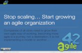 Stop scaling... Start growing an Agile Organization!