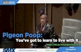 Learning to Live With Pigeon Poop