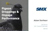 Pigeon Droppings and Onpage Performance