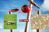 free cricket betting tips and live cricket score online.