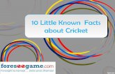 10 Lesser Known Facts of Cricket