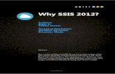 Essentials of SharePoint Server Integration Services 2012