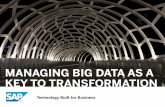 Leveraging Big Data as a Key to Transformation