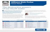 Allianz Risk Pulse: Floods