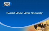 World wide web security