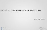 Encrypted Databases for Untrusted Cloud