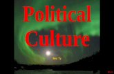 Rey Ty, Political Culture, Roskin, Chapter 7