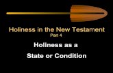 Holiness as a State or Condition