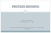 Protein binding  rohit bharti