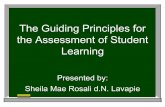 Guiding Principles for the Assessment of Student Learning