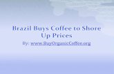 Brazil Buys Coffee to Shore Up Prices