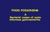 Lec.5  food poisoning and bacterial cuases of acute gasteroenteritis