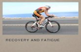 Recovery and fatigue