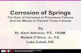 Corrosion of Spring 2013 ASM Presentation