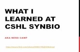 What I learned at CSHL SynBio 2013.