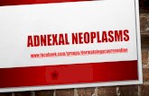 Adnexal Neoplasms