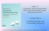 Ch8 intrapreneurship and coporate venturing