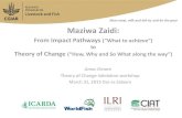 Maziwa Zaidi: From impact pathways to theory of change