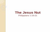 The Jesus Nut