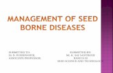 Management of seed borne diseases