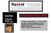 Fetal anomaly archive advanced usg lounge