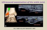 Presentation1.pptx. ultrasound examination of the ankle joint.