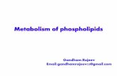 SYNTHESIS OF PHOSPHOLIPIDS