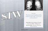 Pulmonary Emphysema. Pathomorphology, outcomes, complications