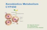 Xenobiotics and cyt p450 by dr rajender