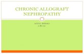 Chronic allograft nephropathy