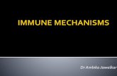 Immune mechanisms