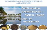 Conventional protein sources for aqua feed