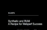 Synthetic and rum webinar