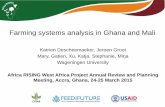 Farming systems analysis in Ghana and Mali