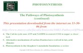 Photosynthesis   carbon fixation