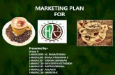 Healthy coffee marketing plan final