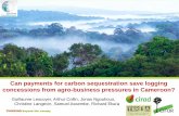 Can payments for carbon sequestration save logging concessions from agro-business pressures in Cameroon?