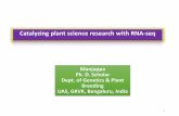 Catalyzing Plant Science Research with RNA-seq