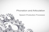 Speech Processes (Phonation and Articulation)